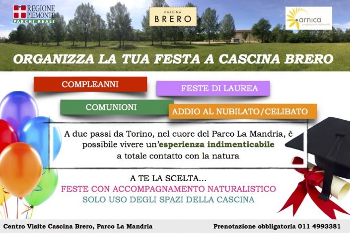 cartolina-feste