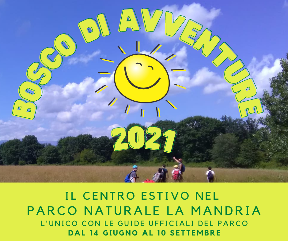 Bosco di Avventure Parco La Mandria