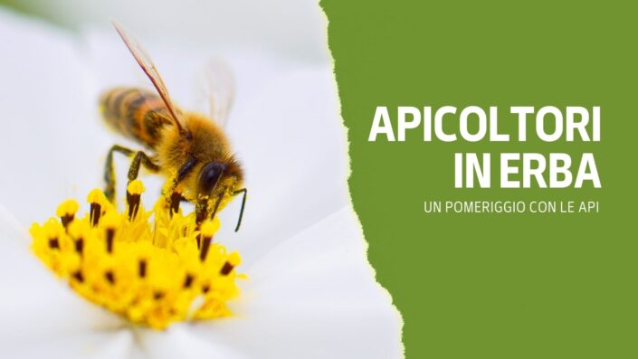 APICOLTORI IN ERBA