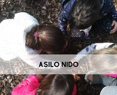 Parco La Mandria attività per asili nido
