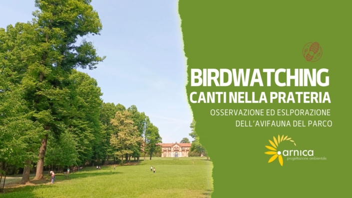 BIRDWATCHING prateria