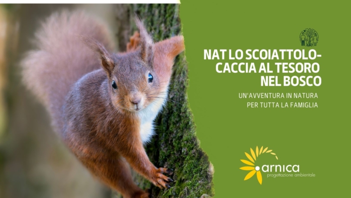 nat caccia al tesoro